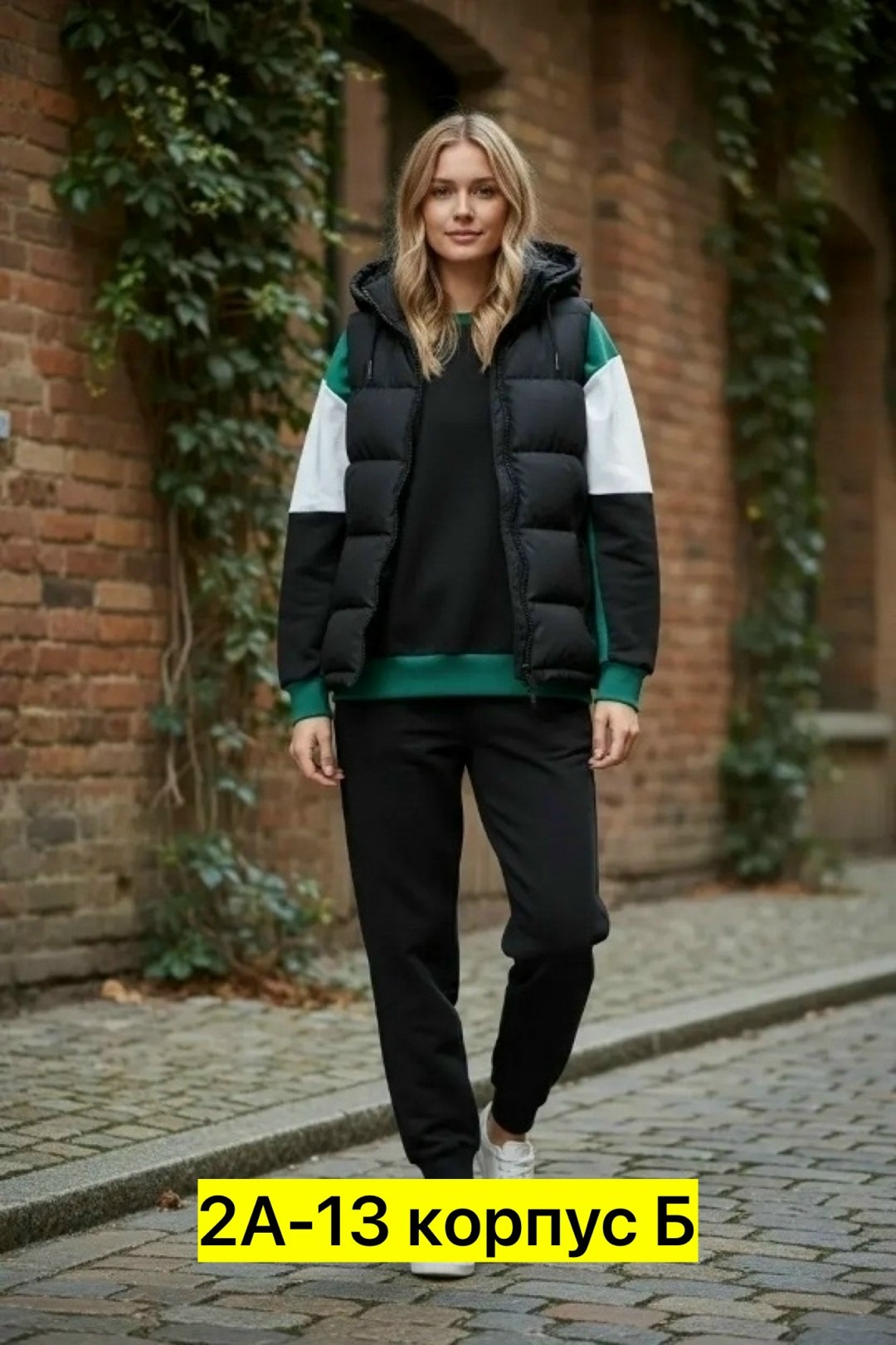 спортивный костюм женский тройка с жилеткой,спортивный костюм с безрукавкой женский,спортивный костюм женский тройка,спортивный костюм тройка с жилеткой,cпортивный костюм женский теплый