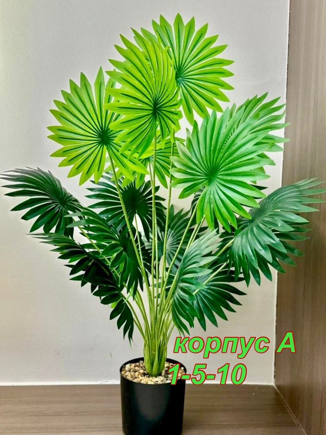 пальма искусственная,пальма ливистона,веерная пальма вашингтония,декоративная пальма,живое комнатное растение пальма ливистона