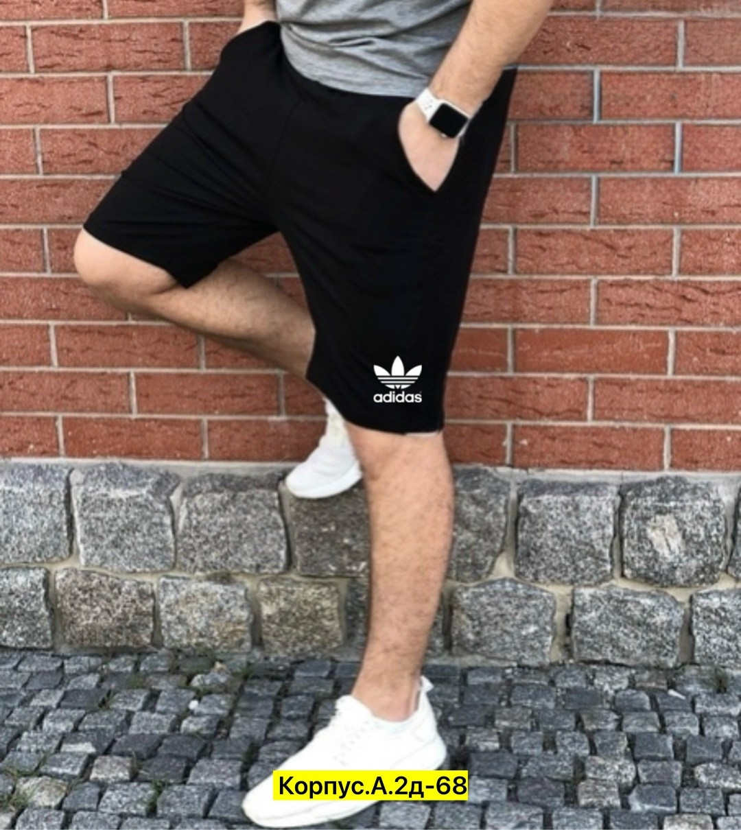 спортивные шорты мужские,шорты lacoste,шорты мужские,шорты lacoste мужские,шорты для мужчин