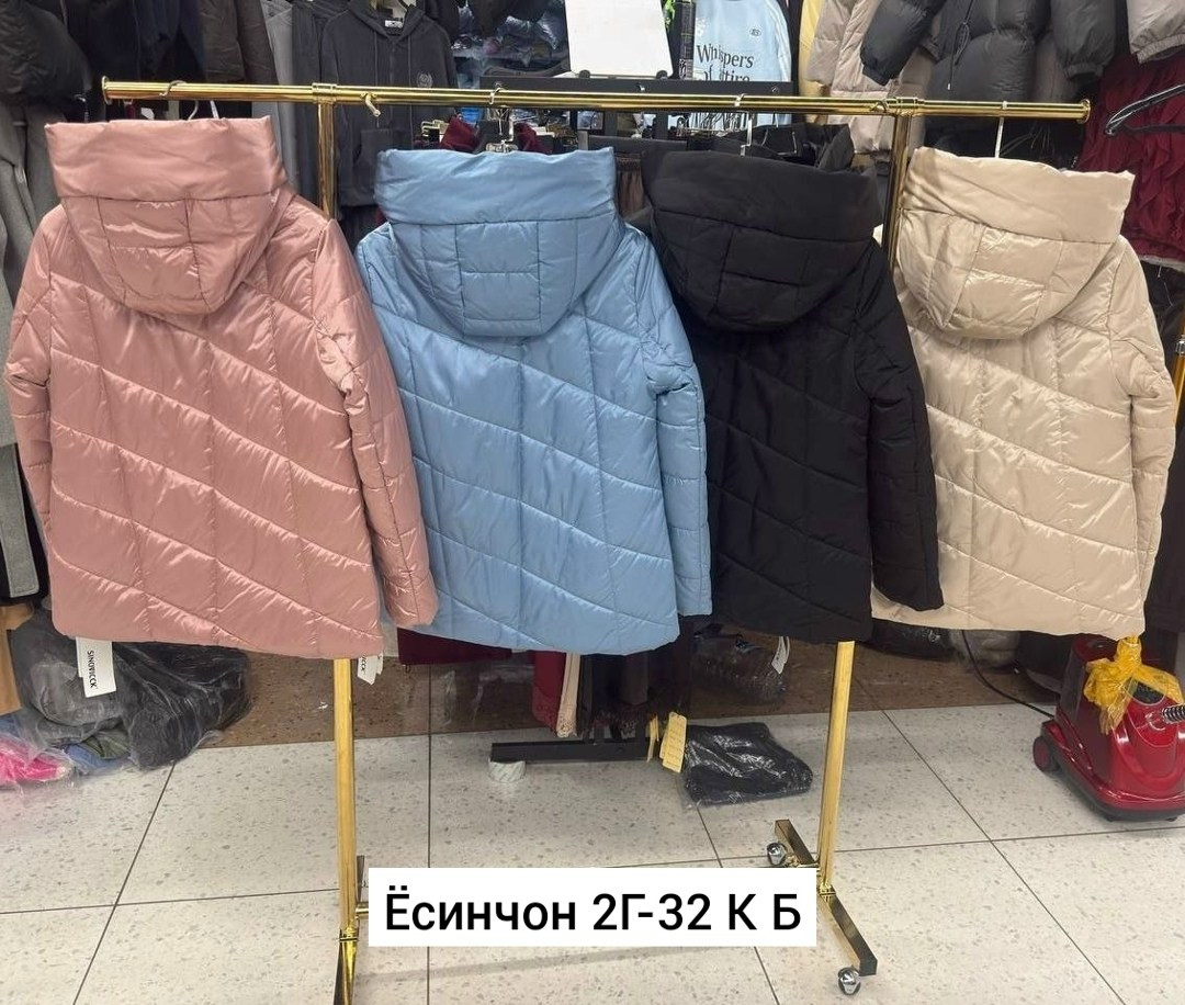 женская демисезонная куртка,демисезонные куртки,куртка женская,куртки,куртка