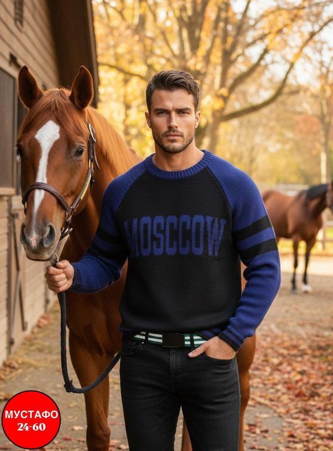 кофта стиль,мужской свитер,свитер джемпер,мужская кофта,свитер джемпер мужской