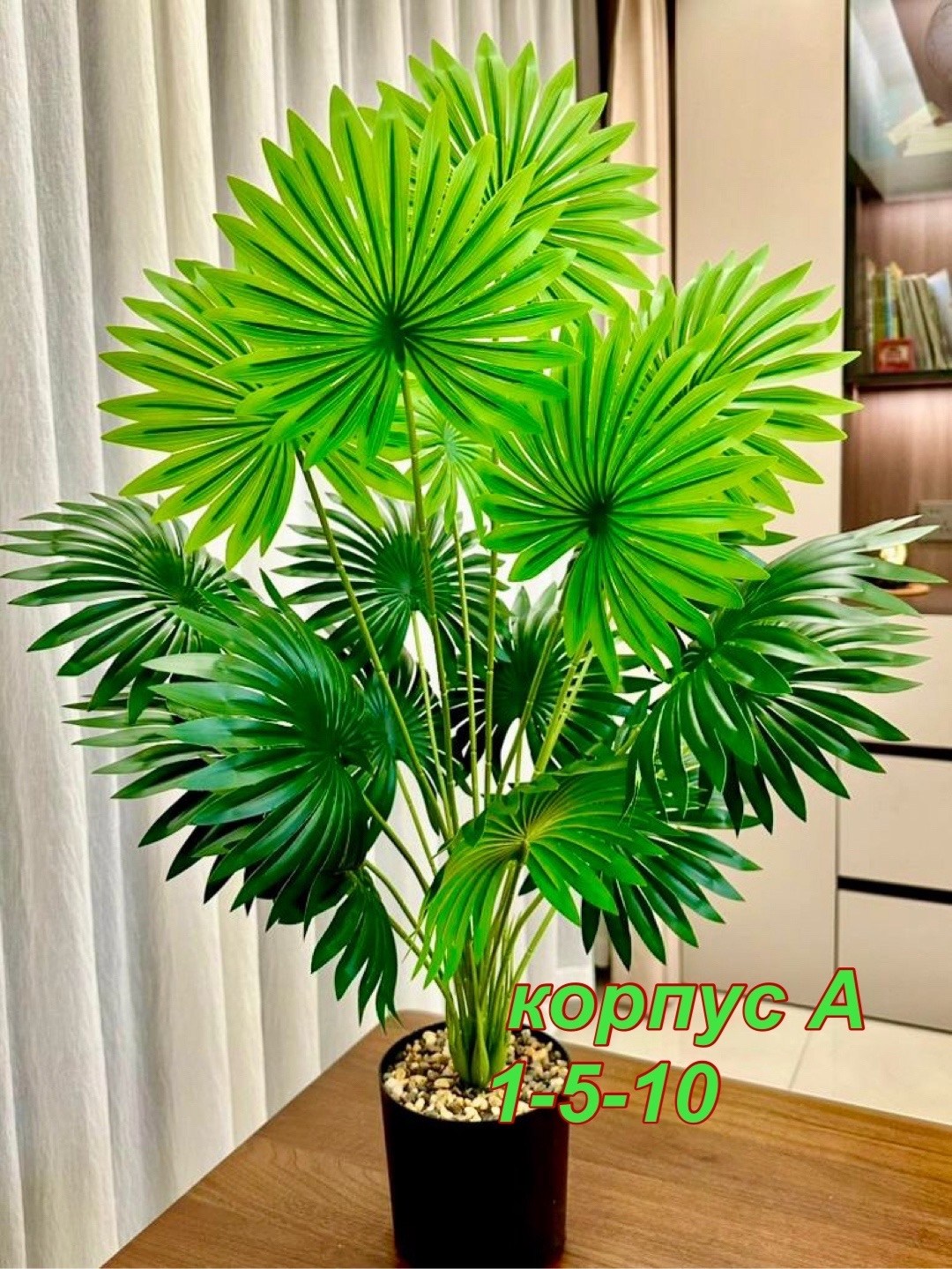 пальма искусственная,пальма ливистона,веерная пальма вашингтония,декоративная пальма,живое комнатное растение пальма ливистона