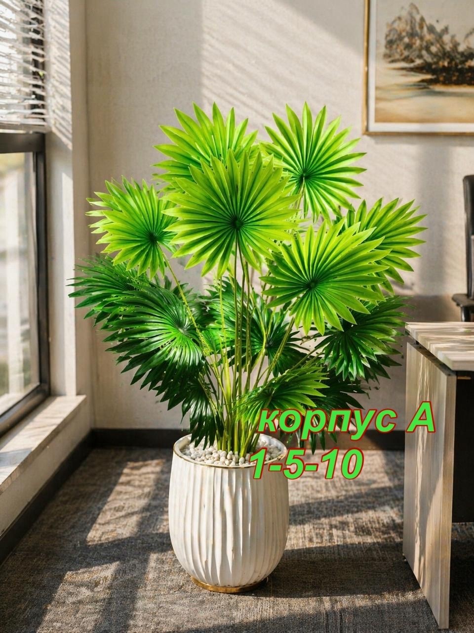 пальма искусственная,пальма ливистона,веерная пальма вашингтония,декоративная пальма,живое комнатное растение пальма ливистона