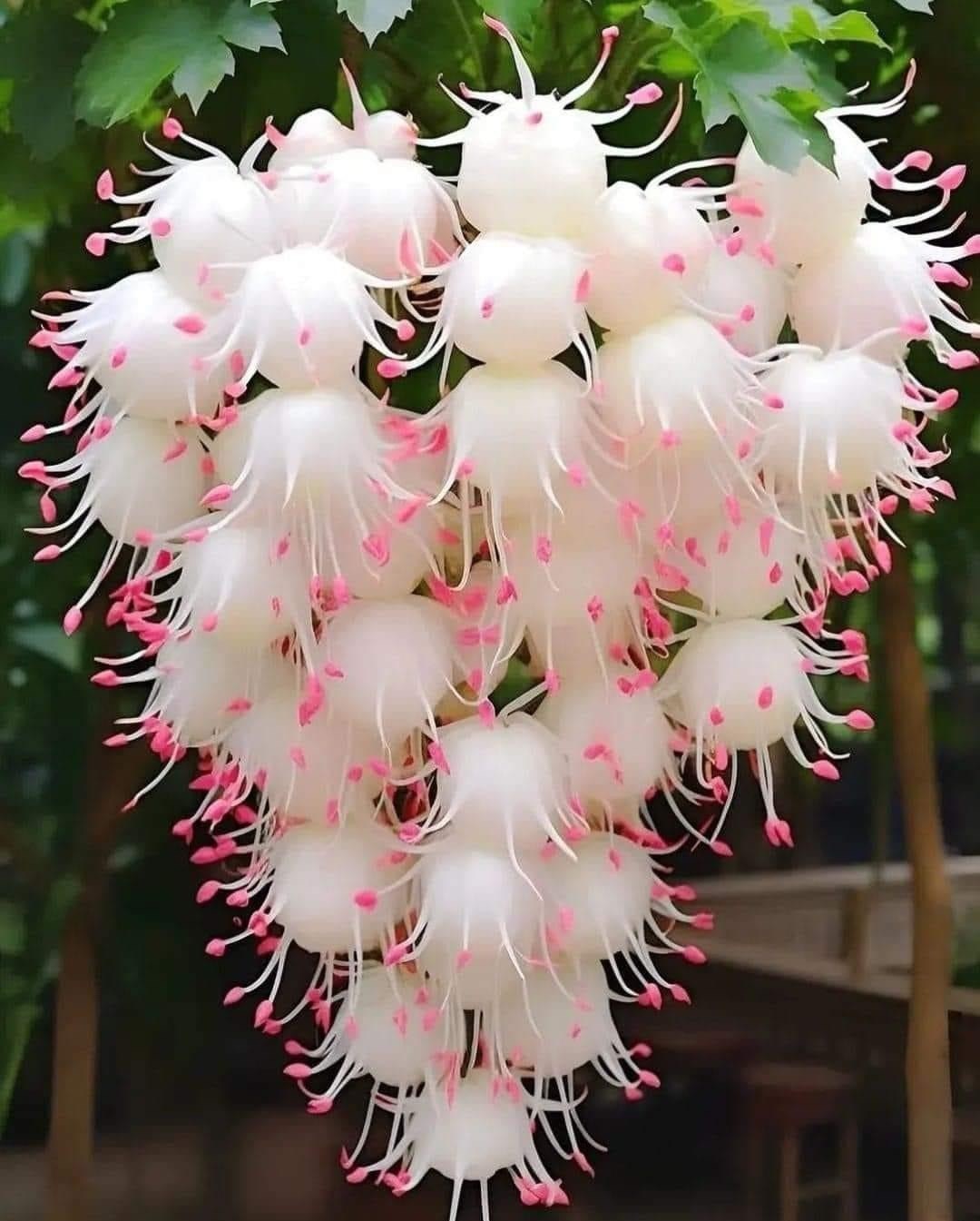 дино комбинезон демисезонный,комбинезон демисезонный детский,демисезонный комбинезон для мальчика с,комбинезон демисезонный,демисезонный утепленный комбинезон