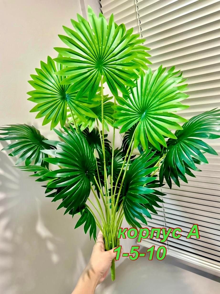 пальма искусственная,пальма ливистона,веерная пальма вашингтония,декоративная пальма,живое комнатное растение пальма ливистона