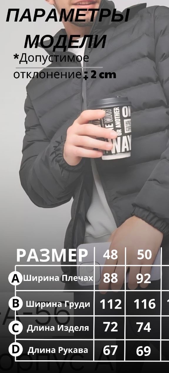 мужские пуховики the north face,пуховик the north face,зимние куртки,куртка зимняя мужская,демисезонная куртка