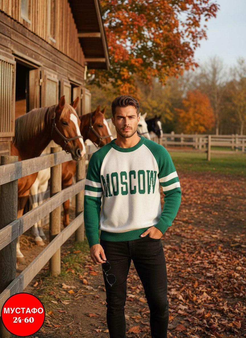 кофта стиль,мужской свитер,свитер джемпер,мужская кофта,свитер джемпер мужской