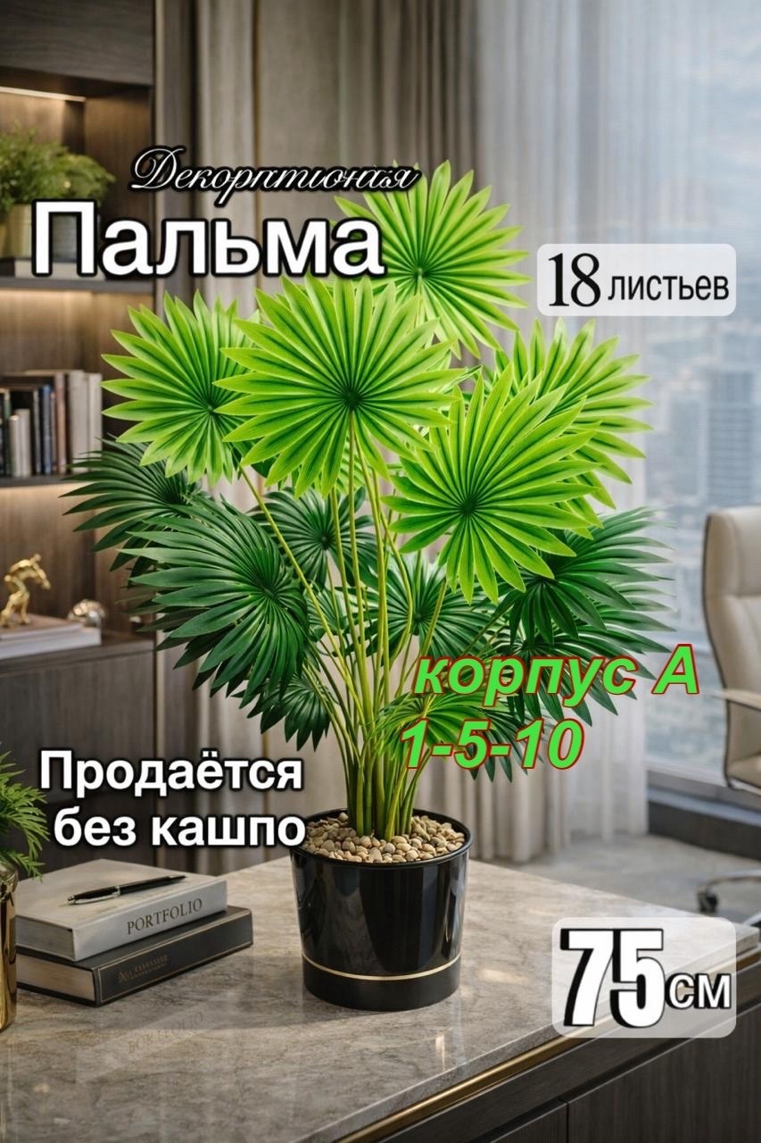 пальма искусственная,пальма ливистона,веерная пальма вашингтония,декоративная пальма,живое комнатное растение пальма ливистона