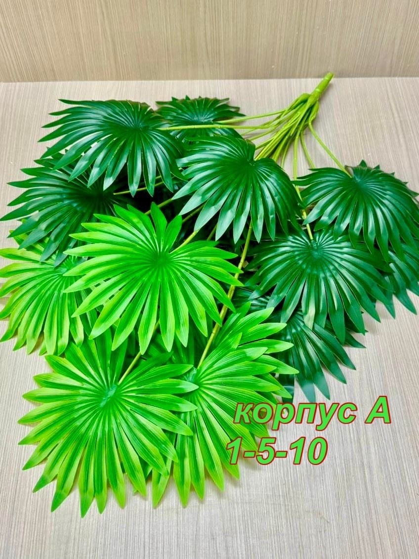 пальма искусственная,пальма ливистона,веерная пальма вашингтония,декоративная пальма,живое комнатное растение пальма ливистона