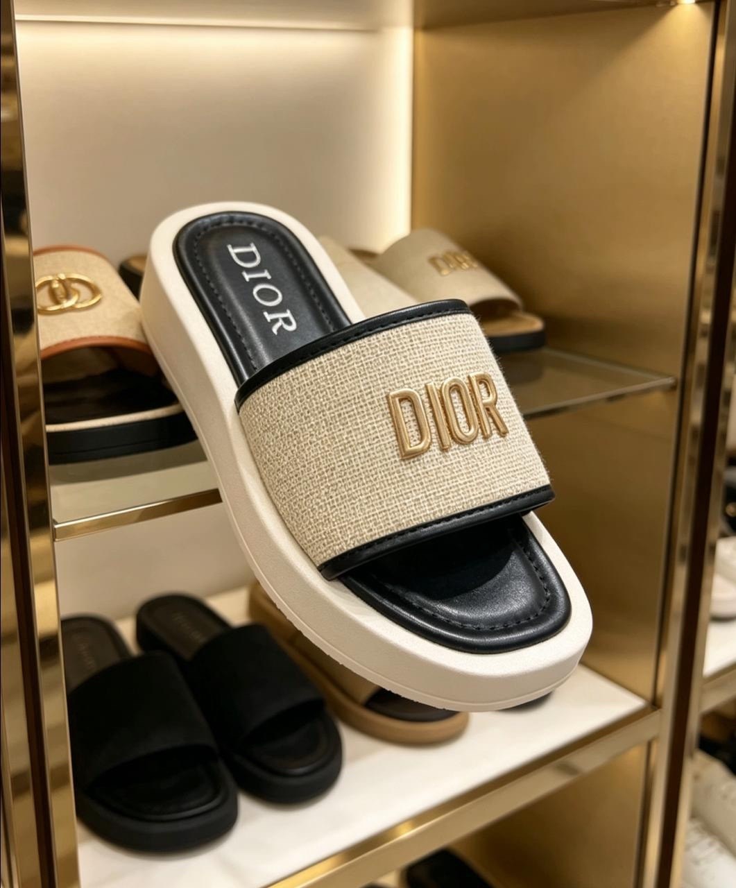 шлепанцы christian dior,шлепанцы кристиан диор,шлепки диор,dior dway шлепанцы,