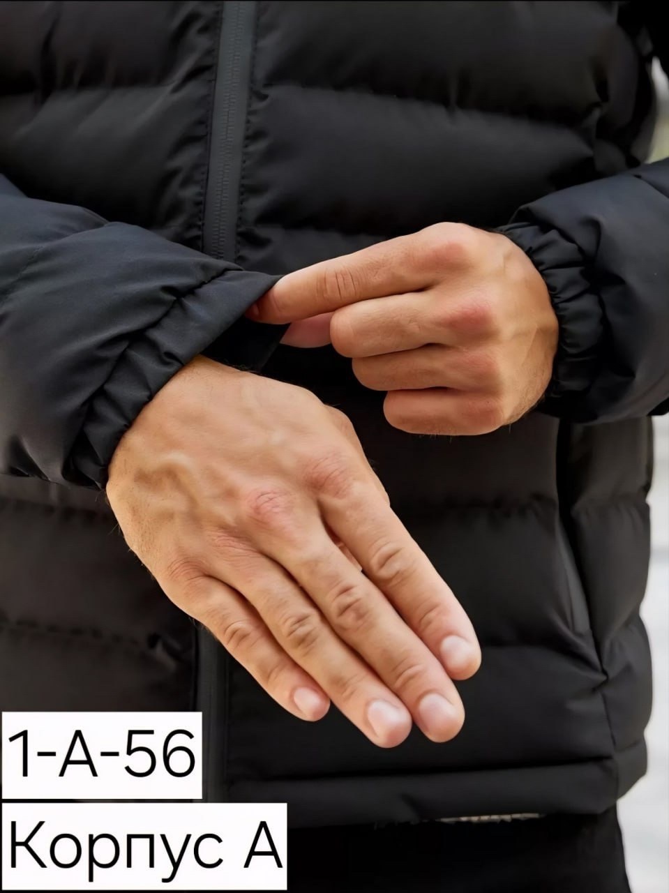 мужские пуховики the north face,пуховик the north face,зимние куртки,куртка зимняя мужская,демисезонная куртка