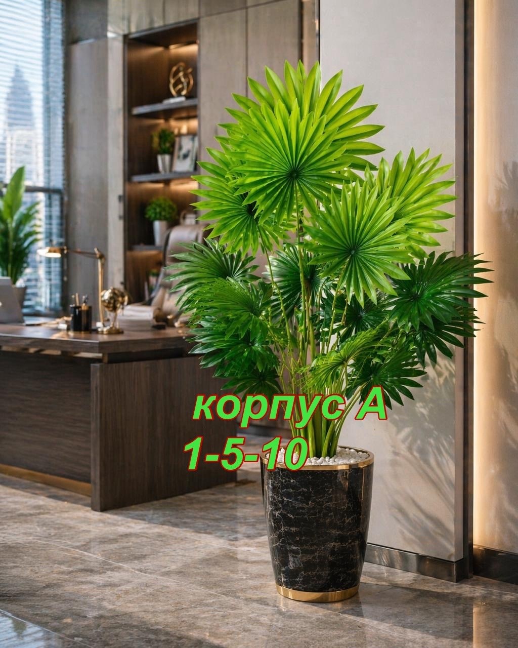 пальма искусственная,пальма ливистона,веерная пальма вашингтония,декоративная пальма,живое комнатное растение пальма ливистона