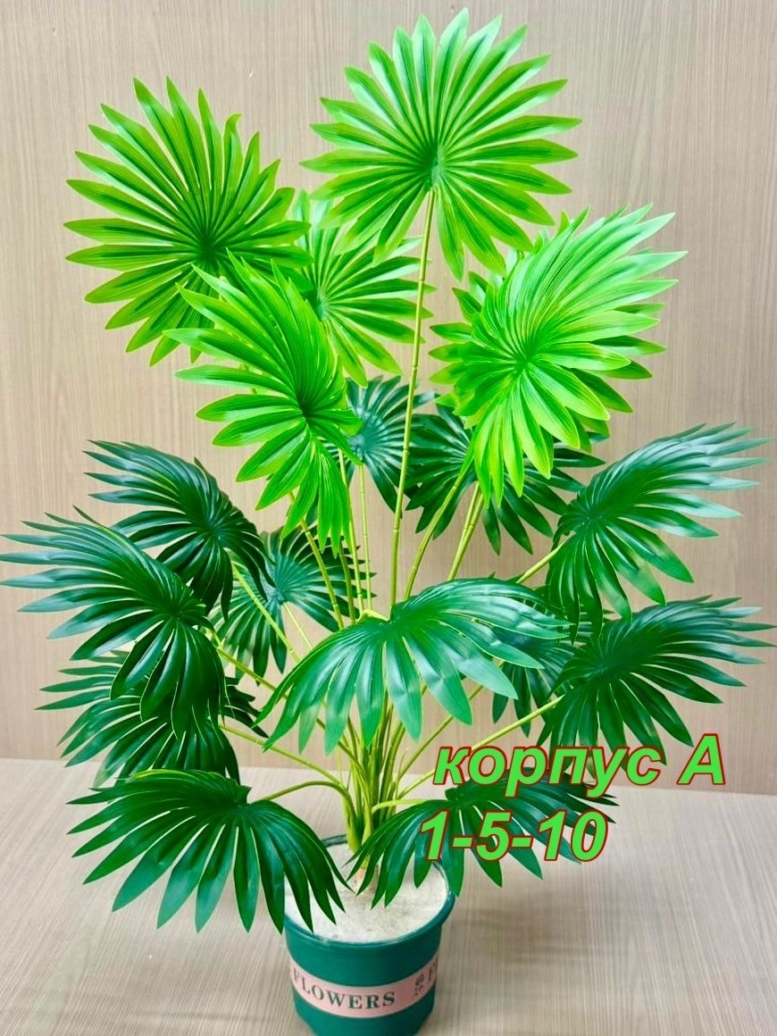 пальма искусственная,пальма ливистона,веерная пальма вашингтония,декоративная пальма,живое комнатное растение пальма ливистона