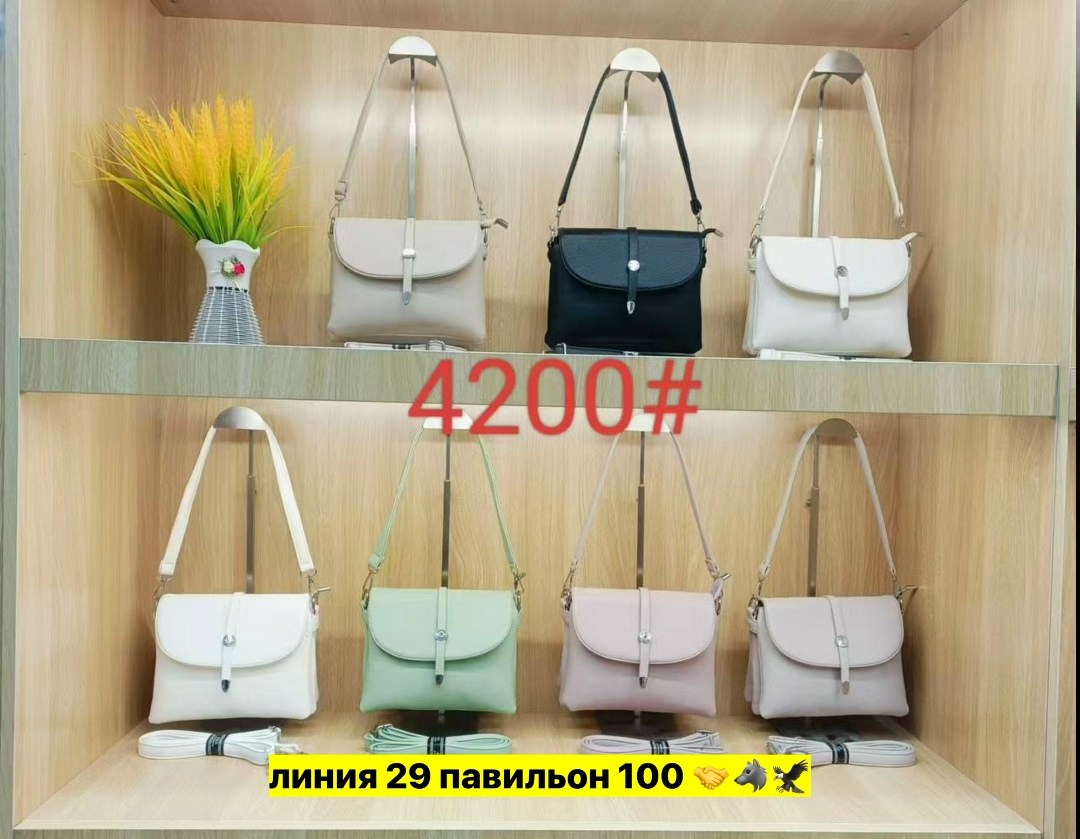 сумки женская,сумки,сумки для женщин,сумка,сумочка