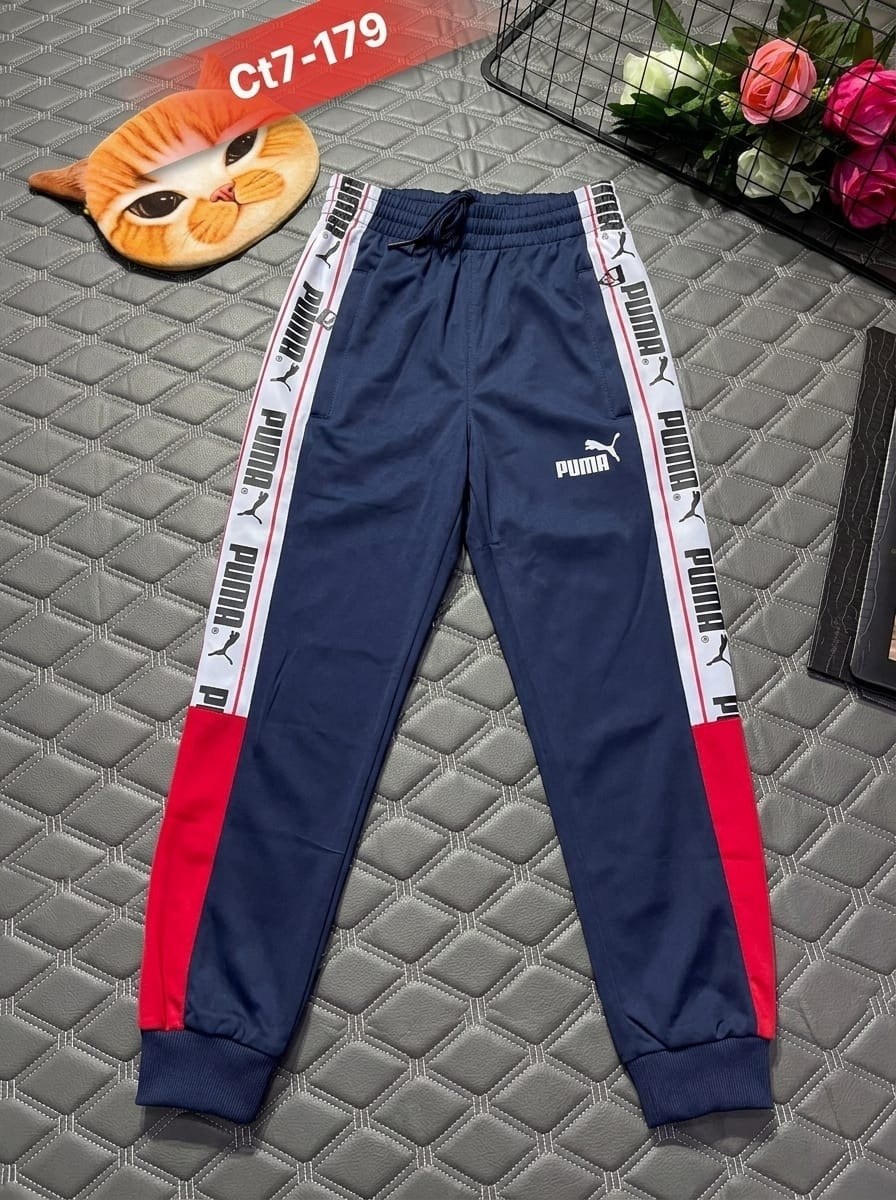 спортивные брюки puma,штаны спортивные puma,штаны puma,брюки puma,брюки мужские puma