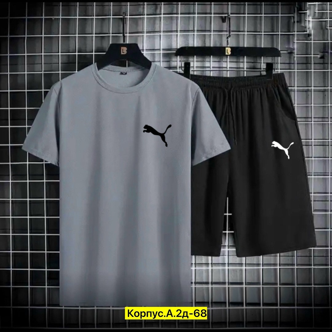 спортивные костюм,спортивные костюмы мужские,мужские спортивные комплект,костюм мужской,