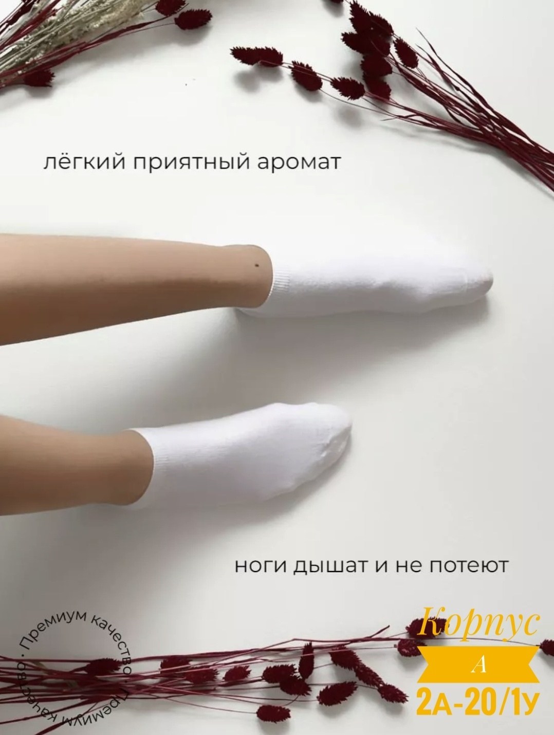 носки короткие хлопок набор,носки короткие хлопок набор 5,носки короткие хлопок набор 10 пар,носки короткие хлопок набор 5 пар,белые носки