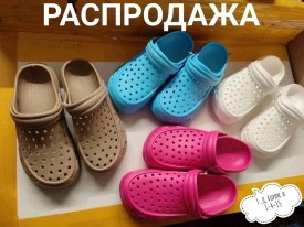 Сланцы