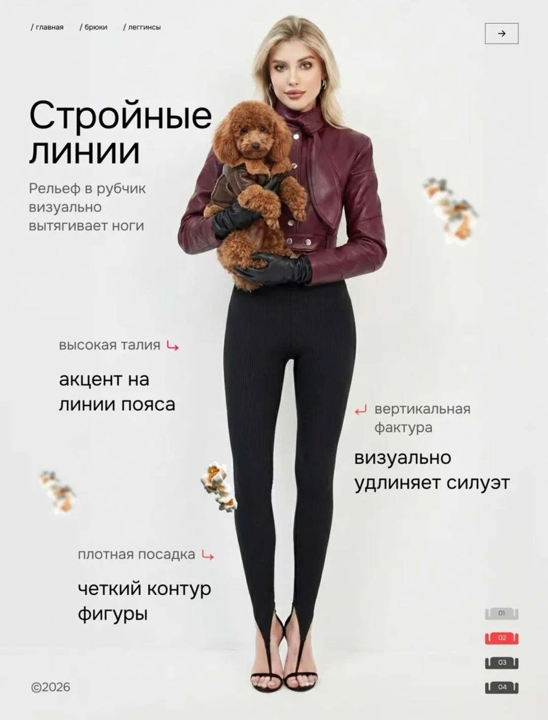 легинсы женские,женские леггинсы,чулки колготки,легинсы,лосины женские