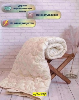 Одежда