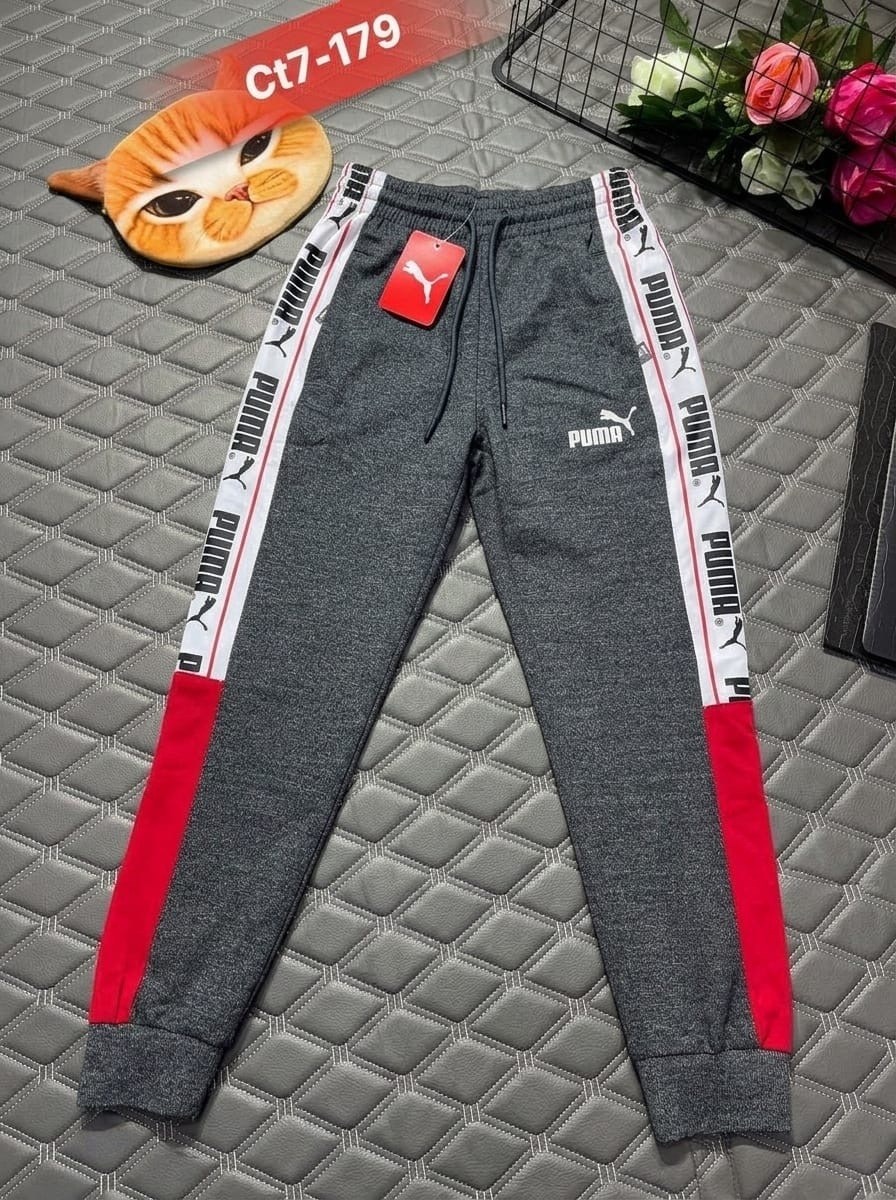 спортивные брюки puma,штаны спортивные puma,штаны puma,брюки puma,брюки мужские puma