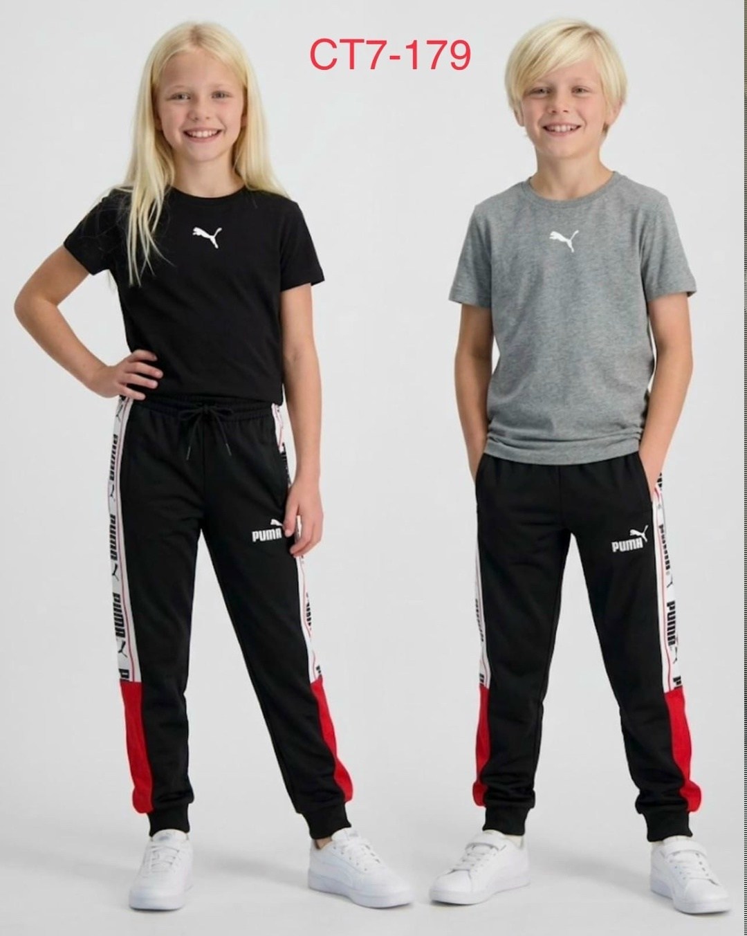 спортивные брюки puma,штаны спортивные puma,штаны puma,брюки puma,брюки мужские puma