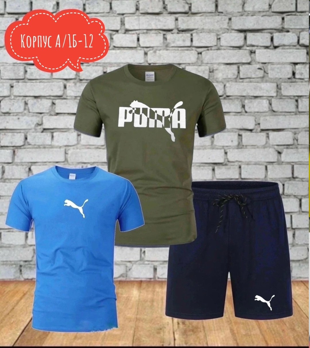 костюм спортивный мужской,спортивные костюмы,костюм для мужчин,мужская спортивная одежда,мужские костюмы шорты и футболка