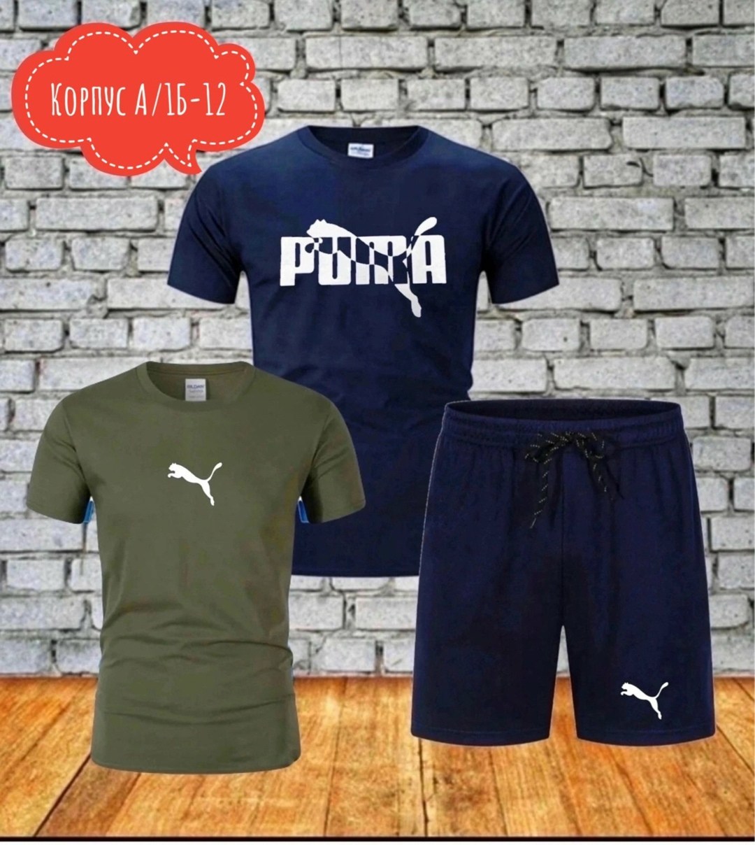 костюм спортивный мужской,спортивные костюмы,костюм для мужчин,мужская спортивная одежда,мужские костюмы шорты и футболка