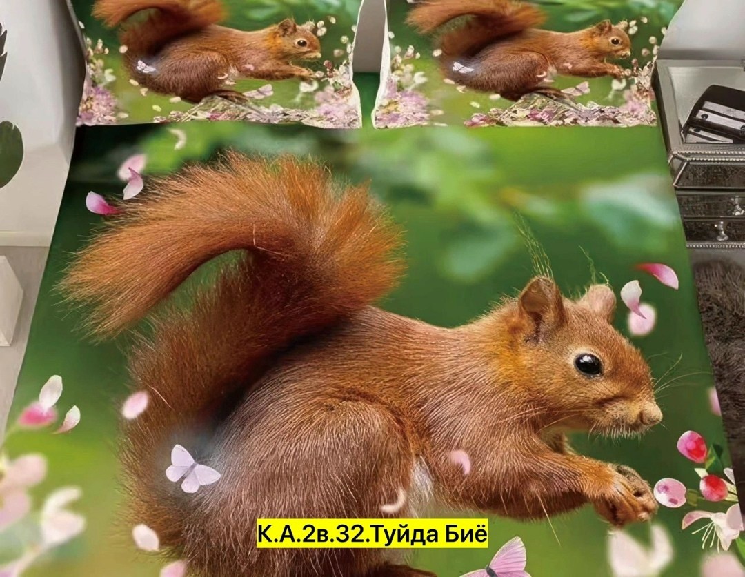 комплект постельного белья,комплект постельного белья aimee,белка,постельное белье 3 д,постельное белье белок