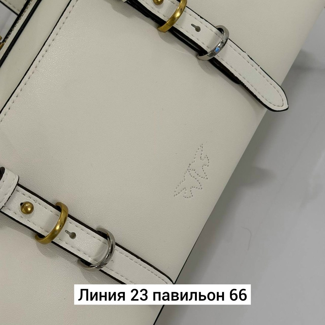 женская сумка,сумка,сумочки женские,модная сумка,модная сумочка