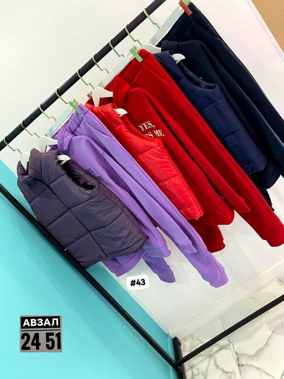 теплый спортивный костюм на флисе с жилеткой halein,костюм на флисе,костюме тройке,костюм тройка женский,костюм женский на флисе