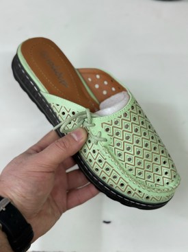 Сланцы