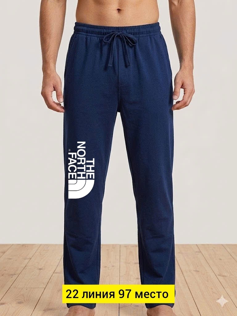 спортивные брюки,брюки спортивные мужские,мужские спортивные штаны,спортивные брюки the north face,штаны спортивные