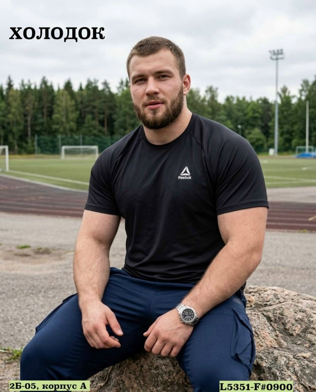 футболка мужская reebok,мужская футболка,футболки для мужчин,футболка спортивная reebok