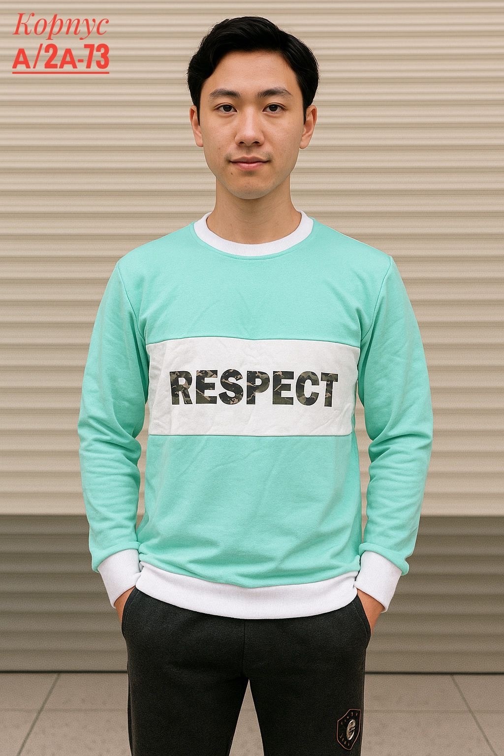 кофта мужской,свитшот мужская,мужские свитшоты,толстовки фиолетовый,толстовки свитшот