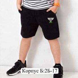 Шорты