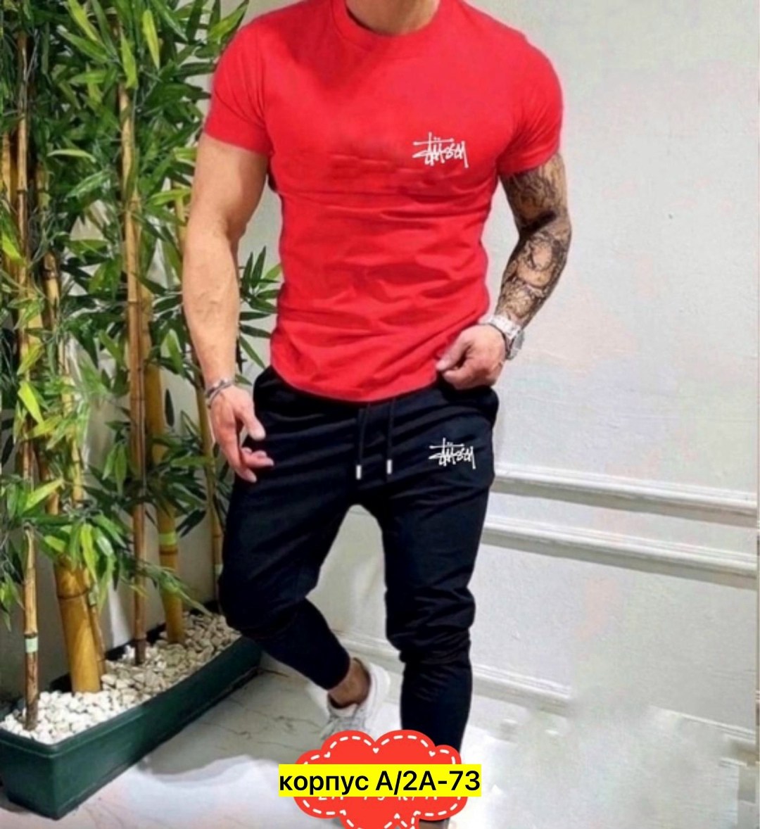 костюм спортивный мужской,спортивный костюм летний мужской,мужская мода,спортивный костюм футболка,спортивные костюм