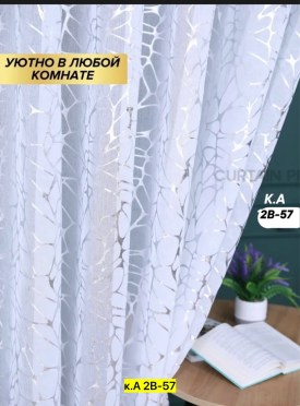 Одежда