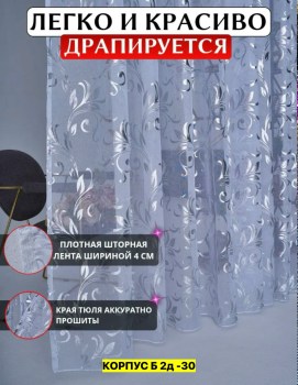 Одежда