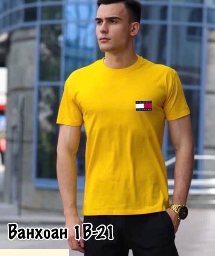 футболки для мужчин,мужская футболка,футболка мужская tommy hilfiger,футболка майка,футболка томми хилфигер мужские