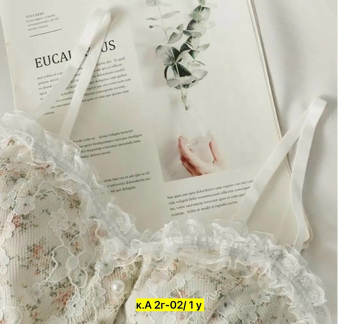 комплект нижнего белья,кружевное нижнее белье,женская нижнее белье,топ корсет кружевной,корсет кружевной