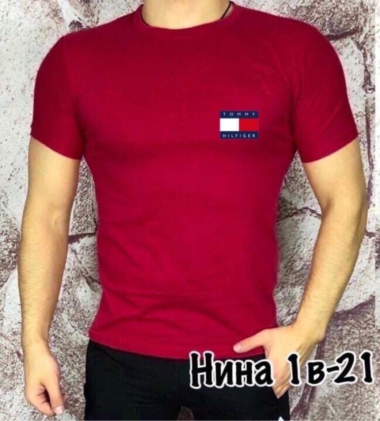 футболки для мужчин,мужская футболка,футболка мужская tommy hilfiger,футболка майка,футболка томми хилфигер мужские