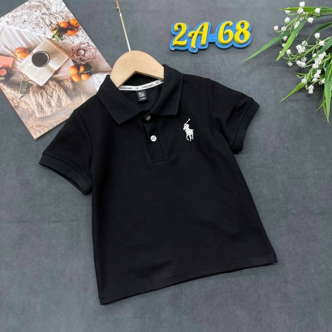 polo ralph lauren polo,поло ральф лаурен,поло для мальчика,поло,рубашка поло для мальчика