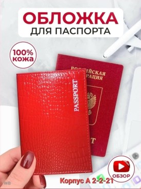 Одежда