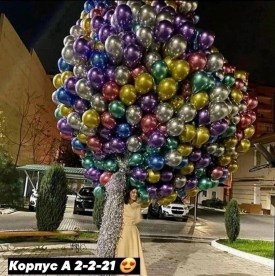 Одежда