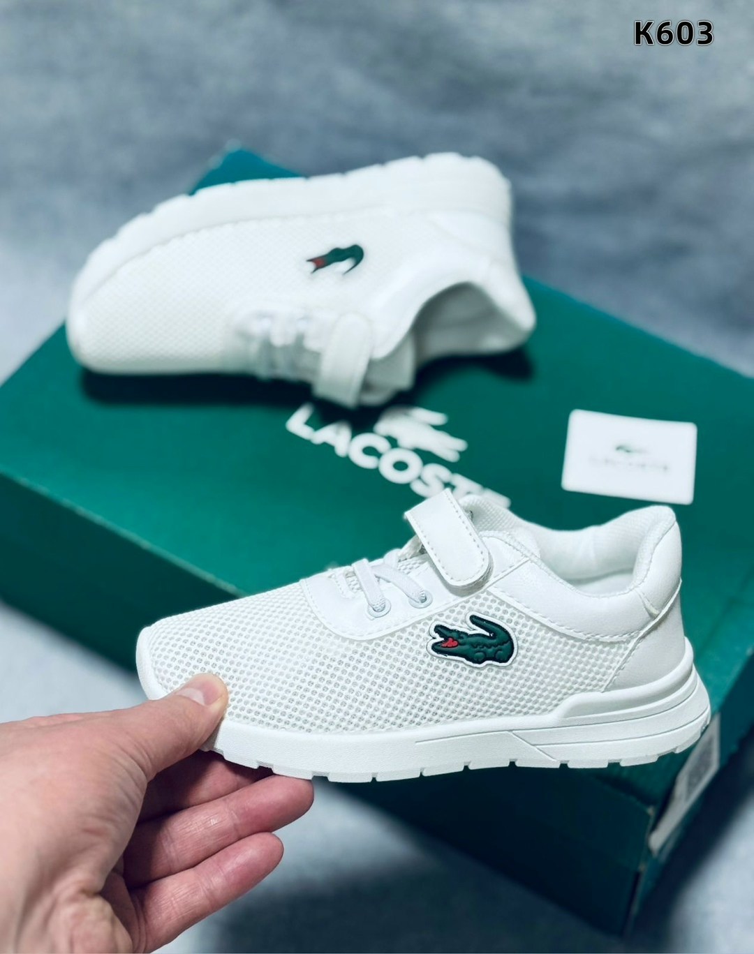 кроссовки lacoste,кроссовки мужские lacoste,кроссовки lacoste кроссовки,кроссовки,lacoste кроссовки женские