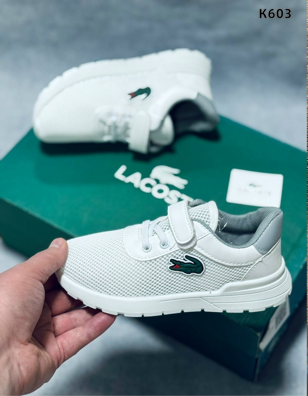 кроссовки lacoste,кроссовки мужские lacoste,кроссовки lacoste кроссовки,кроссовки,lacoste кроссовки женские