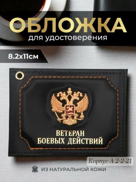 Одежда