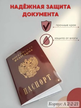Одежда