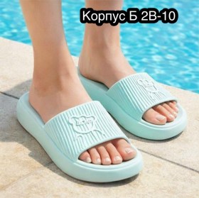 Сланцы